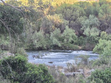 Encinarejo Reservoir ve Jandula Nehri Doğal Alanı, Andujar - 2025