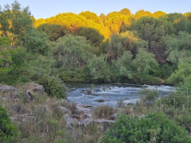 Encinarejo Reservoir ve Jandula Nehri Doğal Alanı, Andujar - 2025