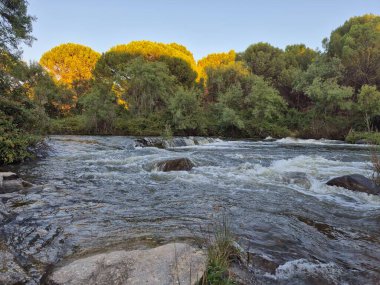 Encinarejo Reservoir ve Jandula Nehri Doğal Alanı, Andujar - 2025