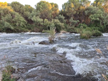 Encinarejo Reservoir ve Jandula Nehri Doğal Alanı, Andujar - 2025