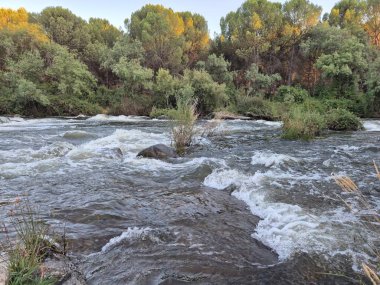 Encinarejo Reservoir ve Jandula Nehri Doğal Alanı, Andujar - 2025