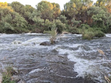 Encinarejo Reservoir ve Jandula Nehri Doğal Alanı, Andujar - 2025