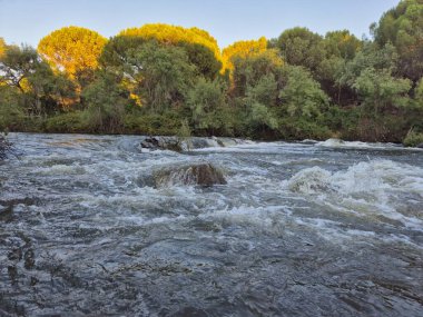 Encinarejo Reservoir ve Jandula Nehri Doğal Alanı, Andujar - 2025