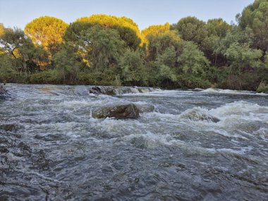 Encinarejo Reservoir ve Jandula Nehri Doğal Alanı, Andujar - 2025