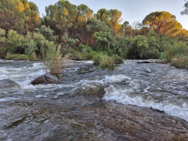Encinarejo Reservoir ve Jandula Nehri Doğal Alanı, Andujar - 2025