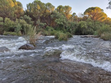 Encinarejo Reservoir ve Jandula Nehri Doğal Alanı, Andujar - 2025