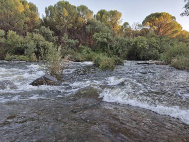 Encinarejo Reservoir ve Jandula Nehri Doğal Alanı, Andujar - 2025