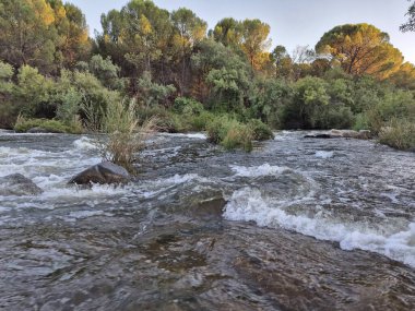 Encinarejo Reservoir ve Jandula Nehri Doğal Alanı, Andujar - 2025