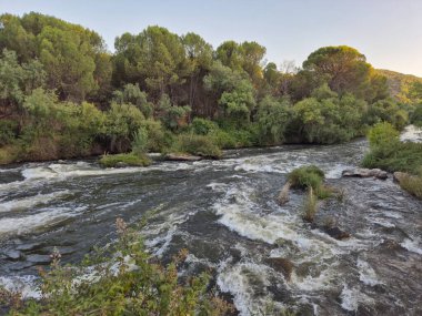 Encinarejo Reservoir ve Jandula Nehri Doğal Alanı, Andujar - 2025