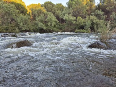 Encinarejo Reservoir ve Jandula Nehri Doğal Alanı, Andujar - 2025