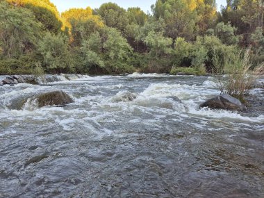 Encinarejo Reservoir ve Jandula Nehri Doğal Alanı, Andujar - 2025
