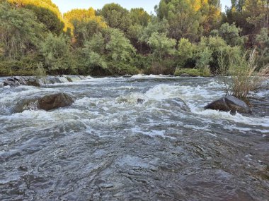 Encinarejo Reservoir ve Jandula Nehri Doğal Alanı, Andujar - 2025