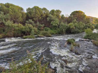 Encinarejo Reservoir ve Jandula Nehri Doğal Alanı, Andujar - 2025