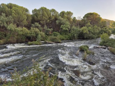 Encinarejo Reservoir ve Jandula Nehri Doğal Alanı, Andujar - 2025