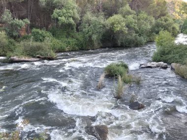 Encinarejo Reservoir ve Jandula Nehri Doğal Alanı, Andujar - 2025