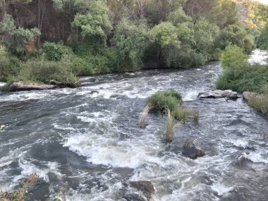 Encinarejo Reservoir ve Jandula Nehri Doğal Alanı, Andujar - 2025