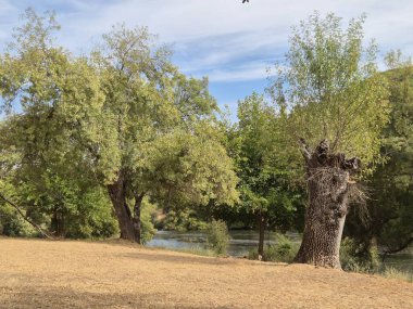Jandula Nehri Doğal Alanı, Andujar - 2025