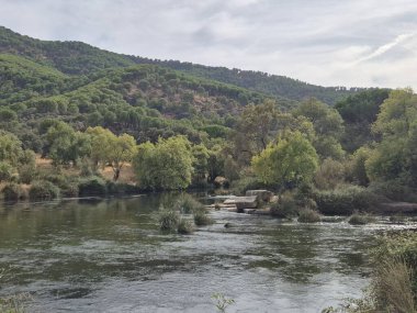 Jandula Nehri Doğal Alanı, Andujar - 2025