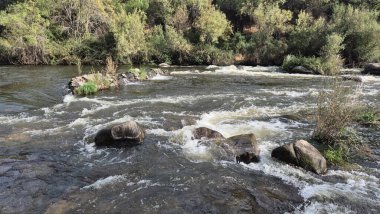 Jandula Nehri Doğal Alanı, Andujar - 2025