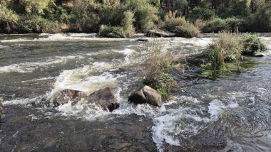 Jandula Nehri Doğal Alanı, Andujar - 2025