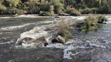 Jandula Nehri Doğal Alanı, Andujar - 2025