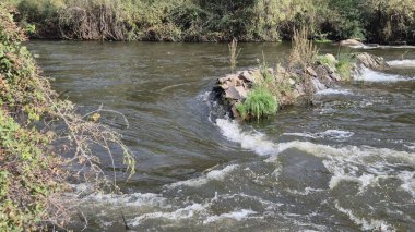 Jandula Nehri Doğal Alanı, Andujar - 2025