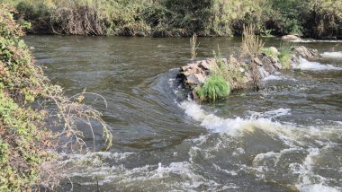 Jandula Nehri Doğal Alanı, Andujar - 2025