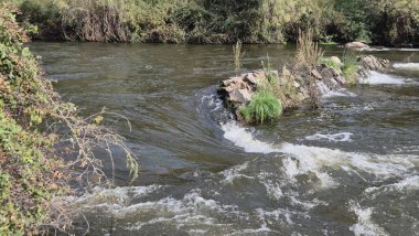 Jandula Nehri Doğal Alanı, Andujar - 2025