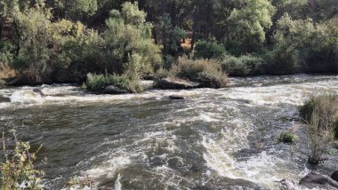 Jandula Nehri Doğal Alanı, Andujar - 2025