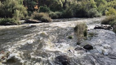 Jandula Nehri Doğal Alanı, Andujar - 2025