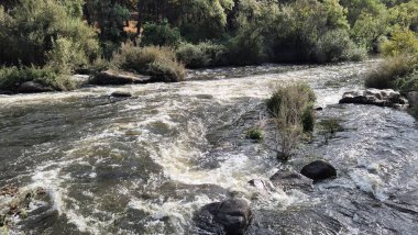 Jandula Nehri Doğal Alanı, Andujar - 2025