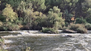 Jandula Nehri Doğal Alanı, Andujar - 2025