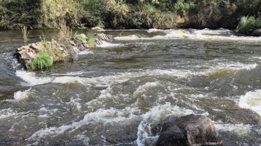 Jandula Nehri Doğal Alanı, Andujar - 2025