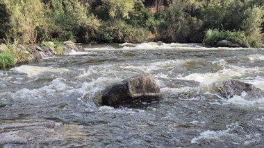 Jandula Nehri Doğal Alanı, Andujar - 2025