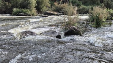 Jandula Nehri Doğal Alanı, Andujar - 2025