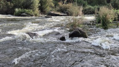 Jandula Nehri Doğal Alanı, Andujar - 2025