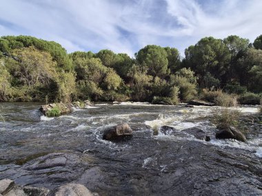 Jandula Nehri Doğal Alanı, Andujar - 2025