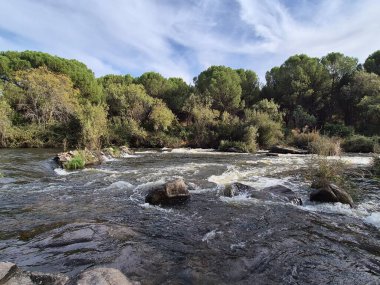 Jandula Nehri Doğal Alanı, Andujar - 2025