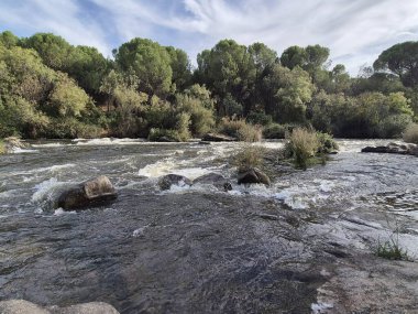 Jandula Nehri Doğal Alanı, Andujar - 2025