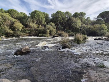 Jandula Nehri Doğal Alanı, Andujar - 2025