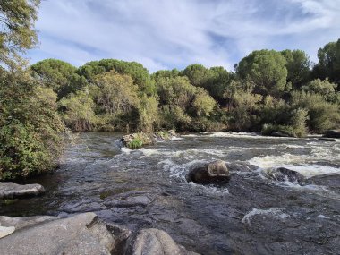 Jandula Nehri Doğal Alanı, Andujar - 2025