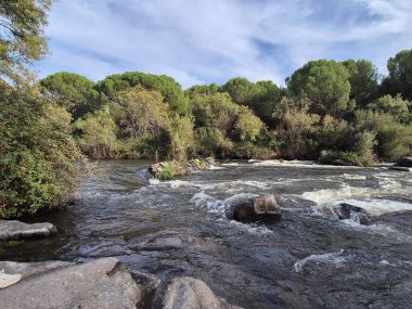Jandula Nehri Doğal Alanı, Andujar - 2025