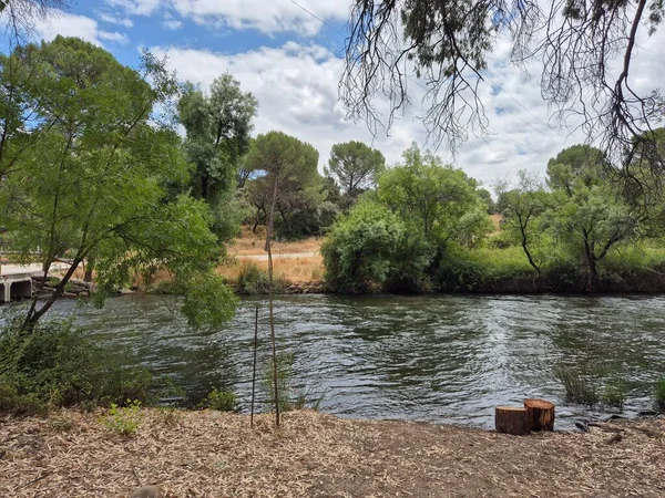 Encinarejo Reservoir ve Jandula Nehri Doğal Alanı, Andujar - 2025