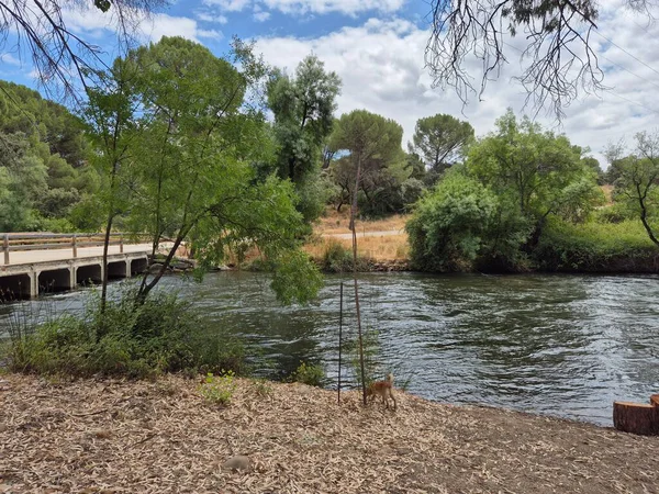Encinarejo Reservoir ve Jandula Nehri Doğal Alanı, Andujar - 2025