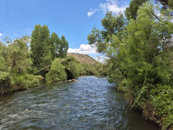 Encinarejo Reservoir ve Jandula Nehri Doğal Alanı, Andujar - 2025