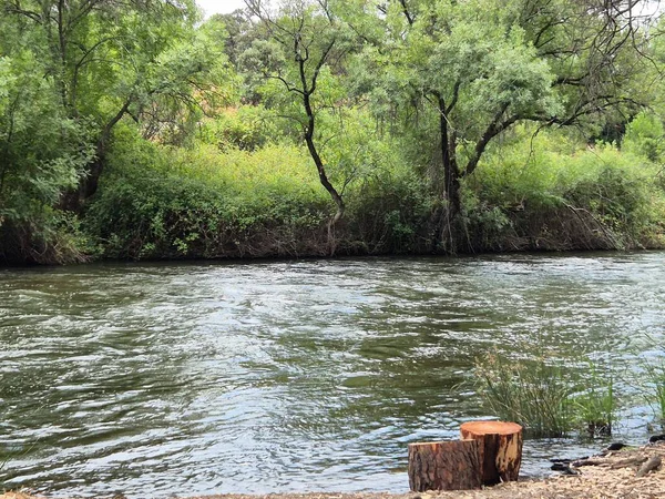 Encinarejo Reservoir ve Jandula Nehri Doğal Alanı, Andujar - 2025
