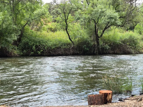 Encinarejo Reservoir ve Jandula Nehri Doğal Alanı, Andujar - 2025