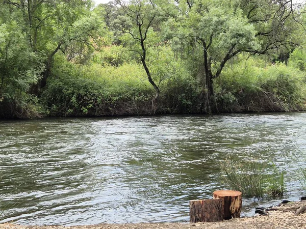 Encinarejo Reservoir ve Jandula Nehri Doğal Alanı, Andujar - 2025