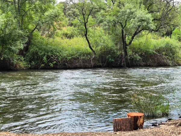 Encinarejo Reservoir ve Jandula Nehri Doğal Alanı, Andujar - 2025