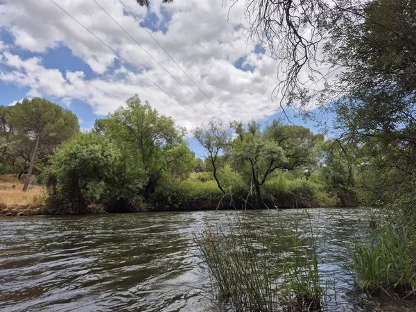 Encinarejo Reservoir ve Jandula Nehri Doğal Alanı, Andujar - 2025
